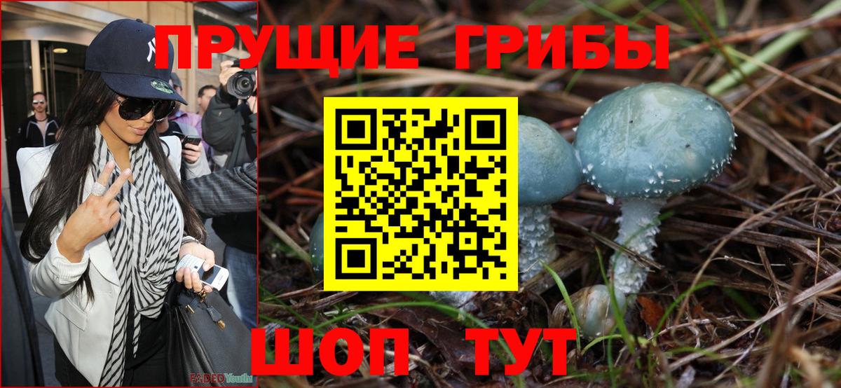 Псилоцибиновые грибы GOLDEN TEACHER Урус-Мартан